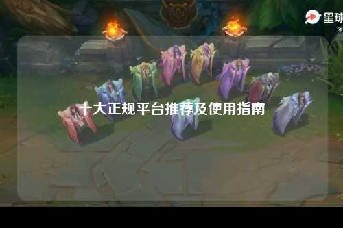 十大正规平台推荐及使用指南