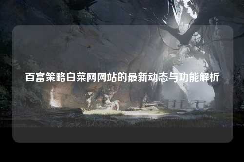 百富策略白菜网网站的最新动态与功能解析