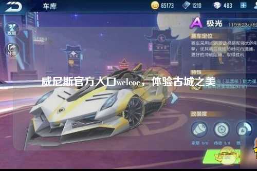 威尼斯官方入口welcoe，体验古城之美