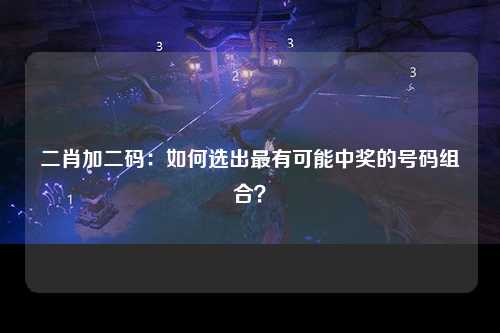 二肖加二码：如何选出最有可能中奖的号码组合？